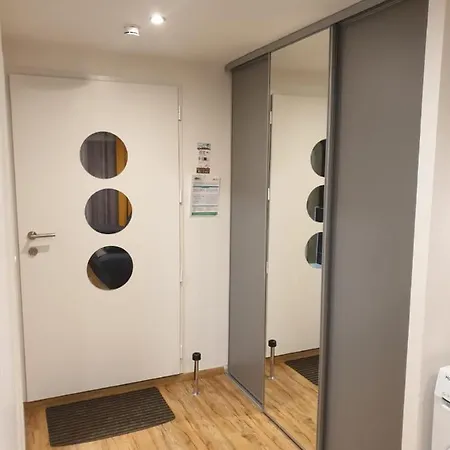 Le 67,ski Et Randonnee,lave Linge,seche Linge,wifi,parking Gratuit Apartment Bernex