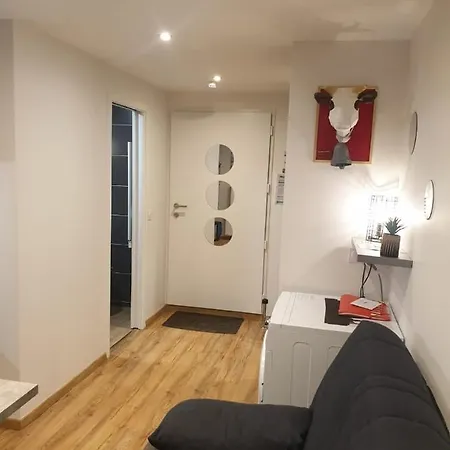 Le 67,ski Et Randonnee,lave Linge,seche Linge,wifi,parking Gratuit * Bernex